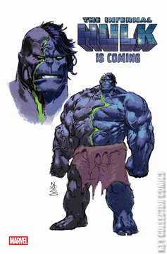 Variant Cover for Incredible Hulk, The #29