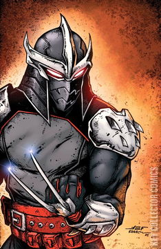 Variant Cover for Teenage Mutant Ninja Turtles #12