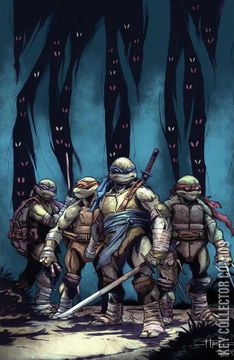 Variant Cover for Teenage Mutant Ninja Turtles #12