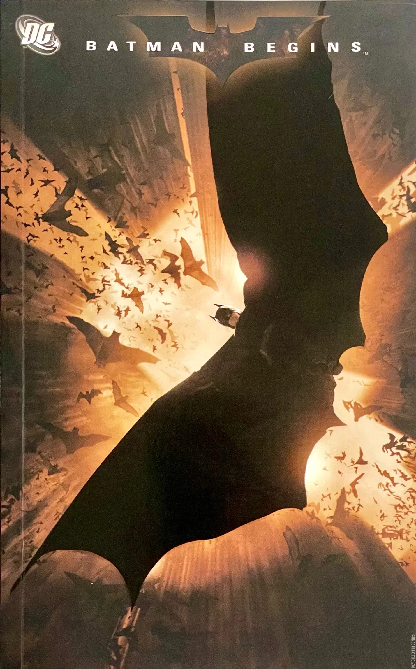 Batman Begins: The Official Movie Adaptation Published Octo