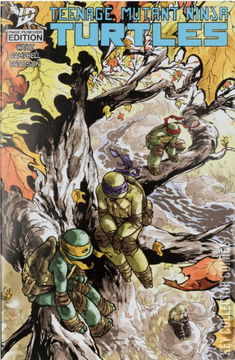 Variant Cover for Teenage Mutant Ninja Turtles #29