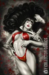 Cover for Vampirella: Dracula Rage #5