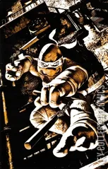Cover for Teenage Mutant Ninja Turtles #2