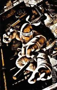 Teenage Mutant Ninja Turtles #2