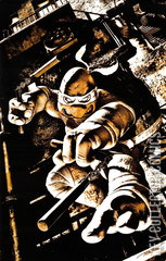 Variant Cover for Teenage Mutant Ninja Turtles #2