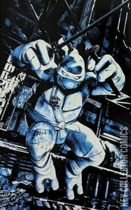 Teenage Mutant Ninja Turtles #3