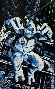 Variant Cover for Teenage Mutant Ninja Turtles #3