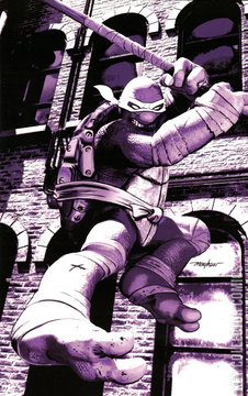 Variant Cover for Teenage Mutant Ninja Turtles #4