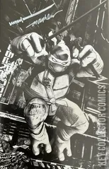 Cover for Teenage Mutant Ninja Turtles #3