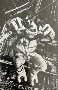 Teenage Mutant Ninja Turtles #3