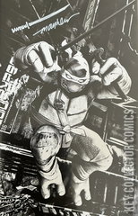 Variant Cover for Teenage Mutant Ninja Turtles #3