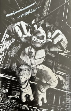 Variant Cover for Teenage Mutant Ninja Turtles #3