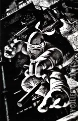 Cover for Teenage Mutant Ninja Turtles #2