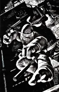 Teenage Mutant Ninja Turtles #2