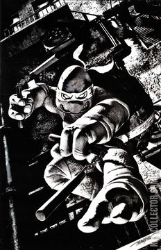 Variant Cover for Teenage Mutant Ninja Turtles #2
