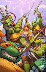 Cover for Teenage Mutant Ninja Turtles #13