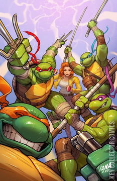 Variant Cover for Teenage Mutant Ninja Turtles #13