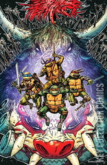 Variant Cover for Teenage Mutant Ninja Turtles #13