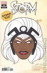 Variant Cover for Storm #12