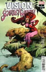 Variant Cover for Vision & Scarlet Witch #1
