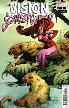 Variant Cover for Vision & Scarlet Witch #1