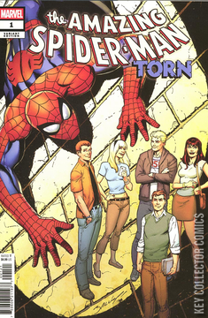 Variant Cover for Amazing Spider-Man: Torn #1