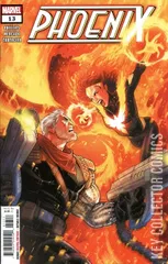 Cover for Phoenix #13