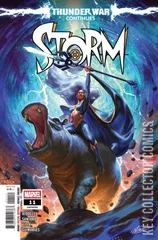 Cover for Storm #11