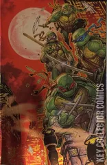 Variant Cover for Teenage Mutant Ninja Turtles #12