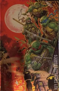 Teenage Mutant Ninja Turtles #12