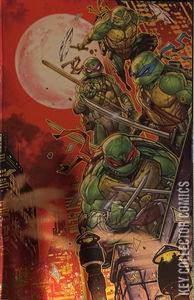 Teenage Mutant Ninja Turtles #12