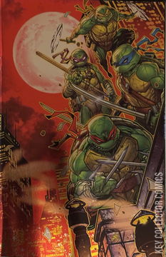 Variant Cover for Teenage Mutant Ninja Turtles #12