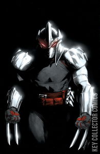 Teenage Mutant Ninja Turtles: Shredder #3