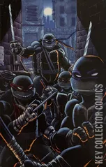 Variant Cover for Teenage Mutant Ninja Turtles #12