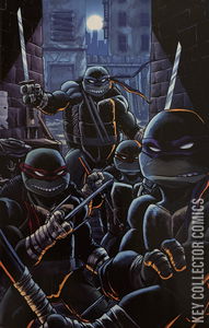 Teenage Mutant Ninja Turtles #12