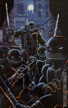 Variant Cover for Teenage Mutant Ninja Turtles #12