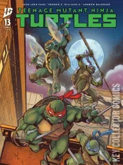 Cover for Teenage Mutant Ninja Turtles #13