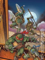 Cover for Teenage Mutant Ninja Turtles #13