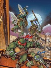 Variant Cover for Teenage Mutant Ninja Turtles #13