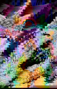 Warcorns: Birthday Bash #1