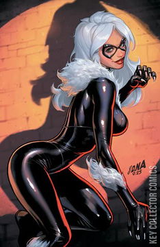 Variant Cover for Black Cat #6