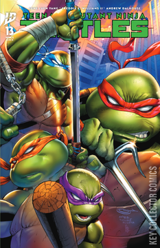 Variant Cover for Teenage Mutant Ninja Turtles #13