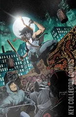 Variant Cover for Teenage Mutant Ninja Turtles: Casey Jones #1