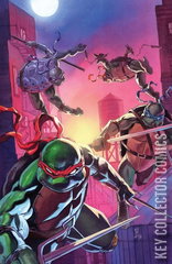 Variant Cover for Teenage Mutant Ninja Turtles #13