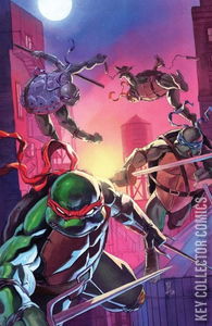 Teenage Mutant Ninja Turtles #13