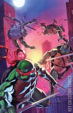 Variant Cover for Teenage Mutant Ninja Turtles #13