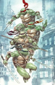 Variant Cover for Teenage Mutant Ninja Turtles #13