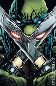 Variant Cover for Teenage Mutant Ninja Turtles #13