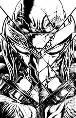 Variant Cover for Teenage Mutant Ninja Turtles #13