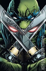 Variant Cover for Teenage Mutant Ninja Turtles #13